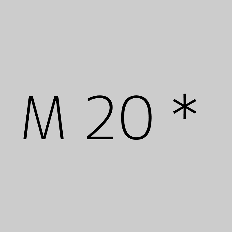 M 20 * 
